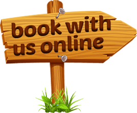 Book Online
